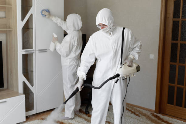24/7 Emergency Odor Removal experts in Oakville, CA